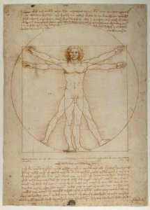 Schéma proporcí lidské postavy podle Vitruvia od Leonardo da Vinci