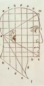 Studie proporcí lidské hlavy od Leonardo da Vinci