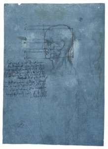 Proporční studie mužské hlavy v profilu od Leonardo da Vinci