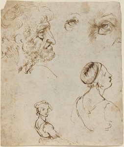 Studijní list [recto] od Leonardo da Vinci
