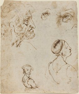 Studijní list [recto] od Leonardo da Vinci