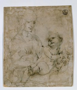 Studie Madony a Kočky od Leonardo da Vinci