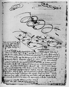 Studie ptáků v letu při stoupání a kroužení, 1928 od Leonardo da Vinci