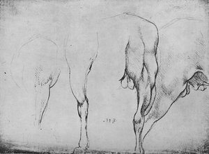Studie koňských nohou, c1480 1945 od Leonardo da Vinci