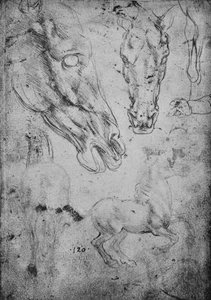 Studie o koních a koňských hlavách, c1480 1945 od Leonardo da Vinci