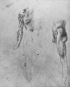 Studie nahého muže při pohledu zezadu a ze strany, c1480 1945 od Leonardo da Vinci