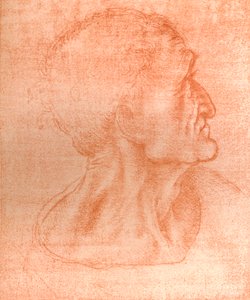 Studie pro hlavu Jidáše v ‚Poslední večeři‘, c1494-c1499 1883. od Leonardo da Vinci