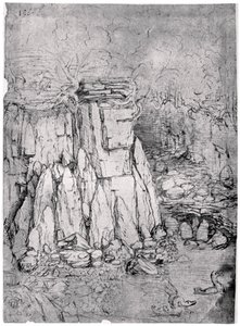 Studie skalní jeskyně s kachnami, 1482-1485 1954 od Leonardo da Vinci