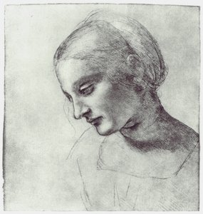Hlava Madony, c1484-1486 od Leonardo da Vinci