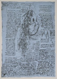 Srdce a průduškové tepny, faksimile Windsorské knihy (pero a inkoust na papíře) od Leonardo da Vinci