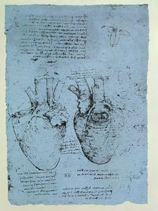 Srdce, faksimile knihy Windsor (pero a inkoust na papíře) od Leonardo da Vinci