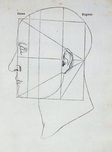 Lidská hlava, ilustrace k 