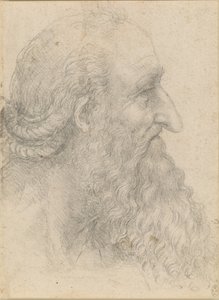 Hlava starého vousatého muže, asi 1517. od Leonardo da Vinci
