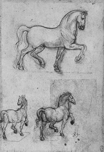 Tři studie o koních, c1480 1945 od Leonardo da Vinci