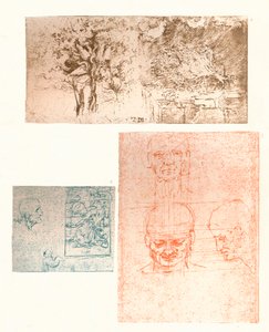 Tři kresby, c1472-c1519 1883 od Leonardo da Vinci