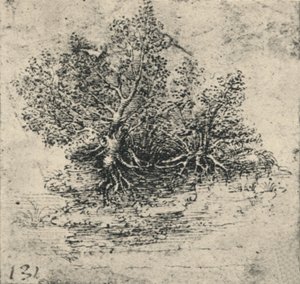 Dva stromy na břehu potoka, c1480 1945 od Leonardo da Vinci