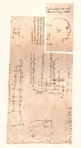 Dvě kresby ilustrující teorii proporcí lidské postavy, c1472-c1519 1883 od Leonardo da Vinci