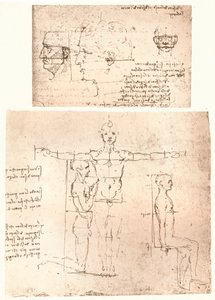 Dvě kresby ilustrující teorii proporcí lidské postavy, c1472-c1519 1883. od Leonardo da Vinci