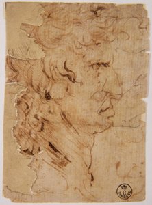 Neznámý obrázek od Leonardo da Vinci