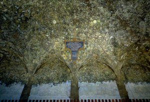 Prokládání zeleniny. Tempera na stěně od Leonarda da Vinciho (1452-1519) (Leonard de Vinci) 1498 Sala delle Asse, Castello Sforzesco (Hrad vévodů Sforza) Milán od Leonardo da Vinci