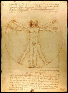 Vitruviánský muž od Leonardo da Vinci