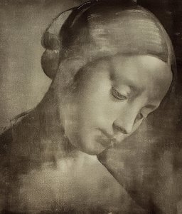 Ženská hlava. 1470-1519 od Leonardo da Vinci