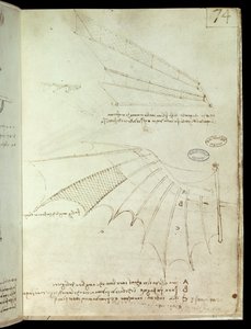 Křídlo. Letící strojní kreslení. Rukopis Leonarda De Vinciho (Leonardo da Vinci od Leonardo da Vinci