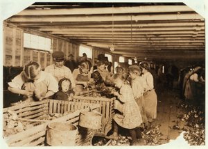 Rosy ve věku 8 let pracuje 14 hodin denně jako vyhazovač ústřic v Dunbar Cannery, Louisiana, 1911 od Lewis Wickes Hine