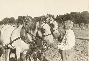 Bez názvu, ca. 1935. od Lewis Wickes Hine