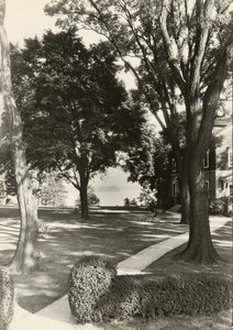Bez názvu, ca. 1935. od Lewis Wickes Hine