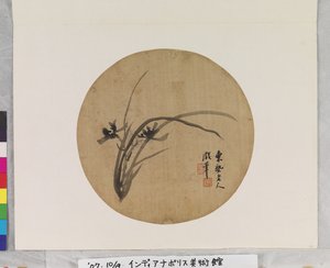 Orchidej v květu od Li Chen