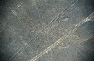 Pes, linie Nazca, Nazca, Peru, civilizace Nazca (foto) od Unbekannt Unbekannt