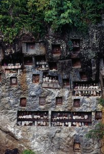 Pohřební výklenky s postavami márnice Tau Tau, vesnice Lemo, Tana Toraja, ostrov Sulawesi, Indonésie. od Unbekannt Unbekannt
