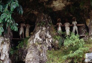 Pohřební výklenky s postavami márnice Tau Tau, vesnice Marrante, Tana Toraja, ostrov Sulawesi, Indonésie od Unbekannt Unbekannt
