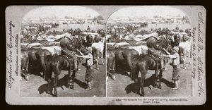 Búrská válka (Jižní Afrika od Unbekannt Unbekannt