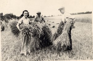 Fotografie Adele Astaire v době sklizně (černobílá fotografie) od Unbekannt Unbekannt
