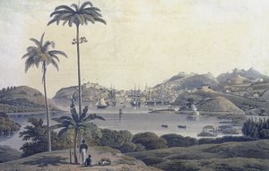 Pohled na město St. George na ostrově Grenada, převzatý z Belmont Estate, vyrytý Williamem Daniellem (1769-1837), kolem 1810 od Lieutenant-Colonel J. Wilson