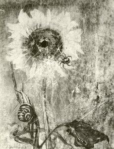 Víly (hlubotisk) od Lily Blatherwick