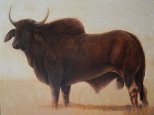 Brahmin Bull od Lincoln Seligman