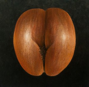 Coco de Mer, 2010 (akryl na plátně)