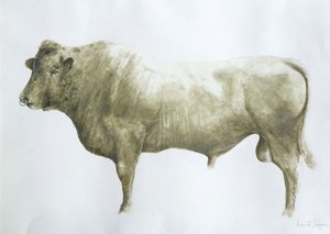Islay Bull, 2004 (akryl na plátně)