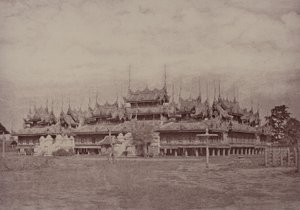 Amerapoora: Magwe Wundouk Kyoung od Linnaeus Tripe