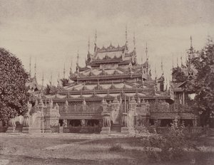 Amerapoora: Maha-oung-meeay-liy-mhan Kyoung od Linnaeus Tripe
