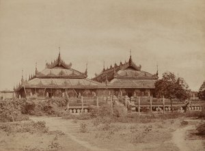Amerapoora: Pyee road Kyoung od Linnaeus Tripe