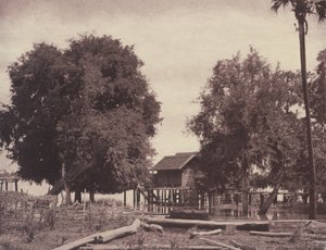 Tsagain Myo: Pohled poblíž řeky Irrawaddy od Linnaeus Tripe