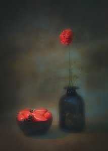  od Liu Xing