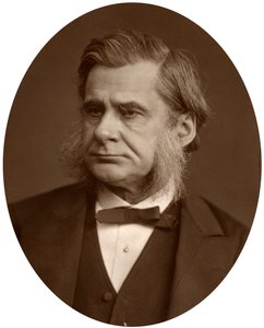 Profesor Thomas Henry Huxley, 1880. od Lock and Whitfield