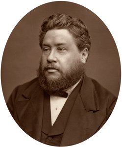 Reverend Charles Haddon Spurgeon, pastor Metropolitan Tabernacle, 1880. od Lock and Whitfield