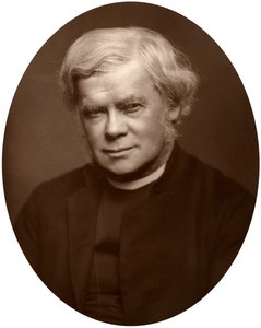 Reverend John Saul Howson, děkan z Chesteru, 1882. od Lock and Whitfield