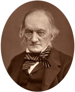 Richard Owen, 1878. od Lock and Whitfield